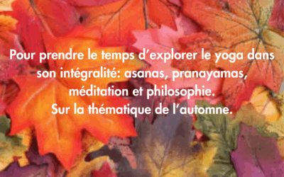 Stage d’automne