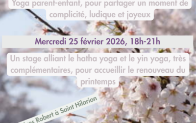 Stage yoga février 2026