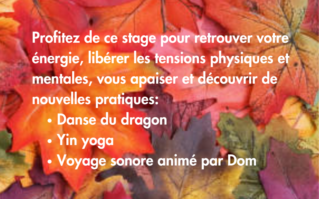 Stage yoga et voyage sonore le 21 octobre à Saint Hilarion